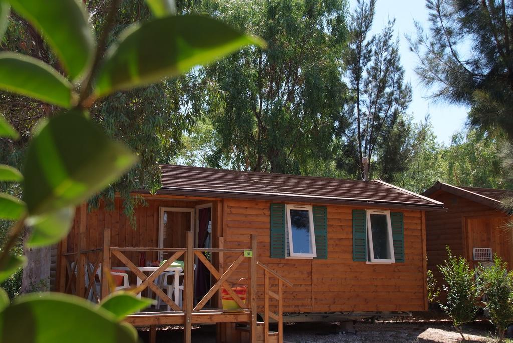 Camping Les Palmiers Hyeres Ruang foto